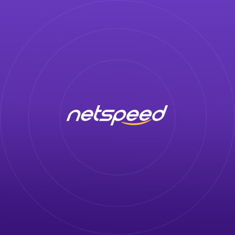 Netspeed Geçişinden Sonra Sürekli Bağlantı Sorunu Ve Destek Eksikliği