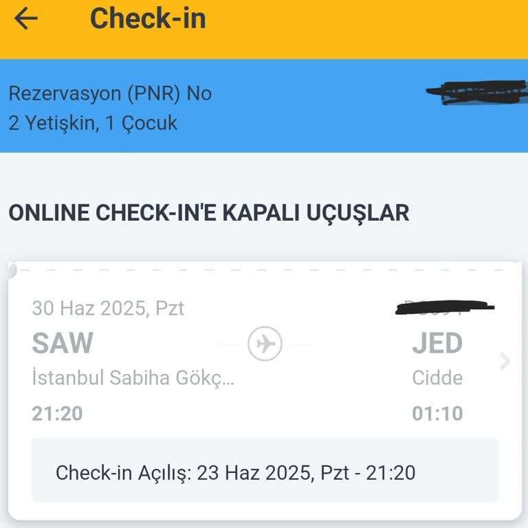 Pegasus Online Check-in Sorunu Ve Bilgilendirme Eksikliği