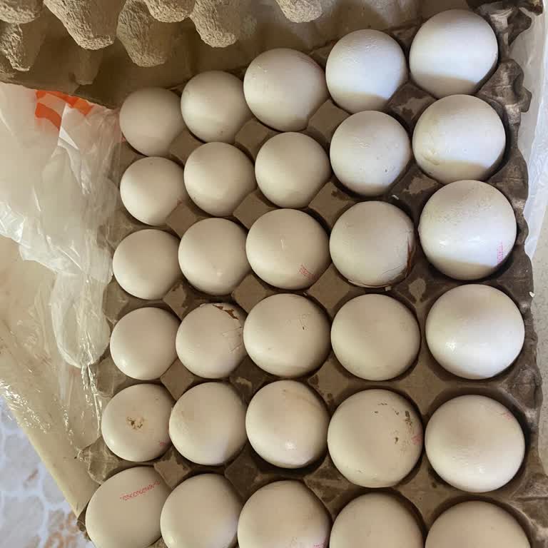 Migros Hemen Siparişimde Kırık Yumurtalar Ve Yetersiz Destek