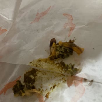 Midyede Hijyen Sorunu Nedeniyle Güvenim Sarsıldı