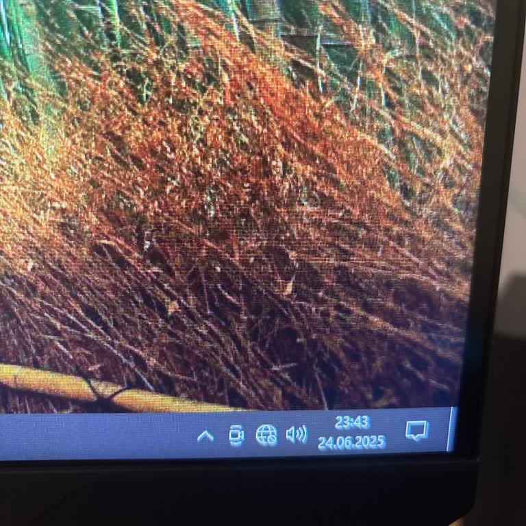 İnternet Hızı Ve Destek Sorunlarıyla Karşı Karşıyayım