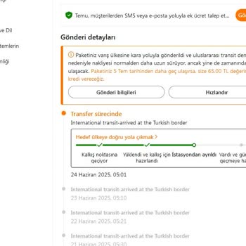 Temu'dan Alınan Kargonun Teslimatında Gecikme