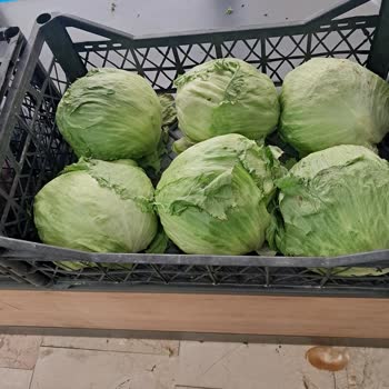 A101 Şubesinde Çürük Ürünler Ve İlgisiz Personel Sorunu