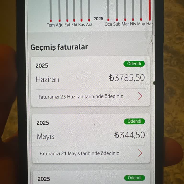 Kullanım Olmadan Otomatik Yurt Dışı Paket Ücreti Ve Haksız Faturalandırma