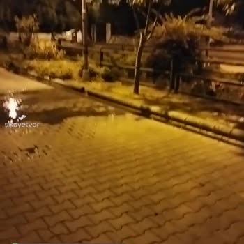 Marmaris Belediyesi 208 Sokak Siteler Işık Taksi Sokağı Sulama Sıkıntısı!
