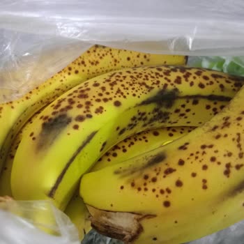 Migros Sanal Marketten Gelen Bozuk Ve Kalitesiz Ürünler Hayal Kırıklığı Yarattı