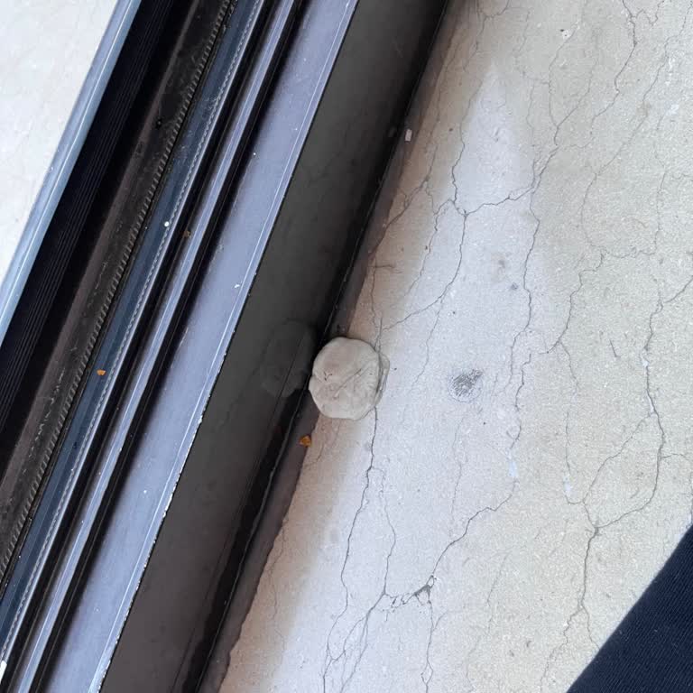 Otelde Güvenlik Ve Temizlik Sorunları Yaşadım