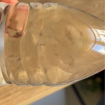 Süral Marka Su Şişelerinde Yabancı Cisim Ve Sağlık Sorunu