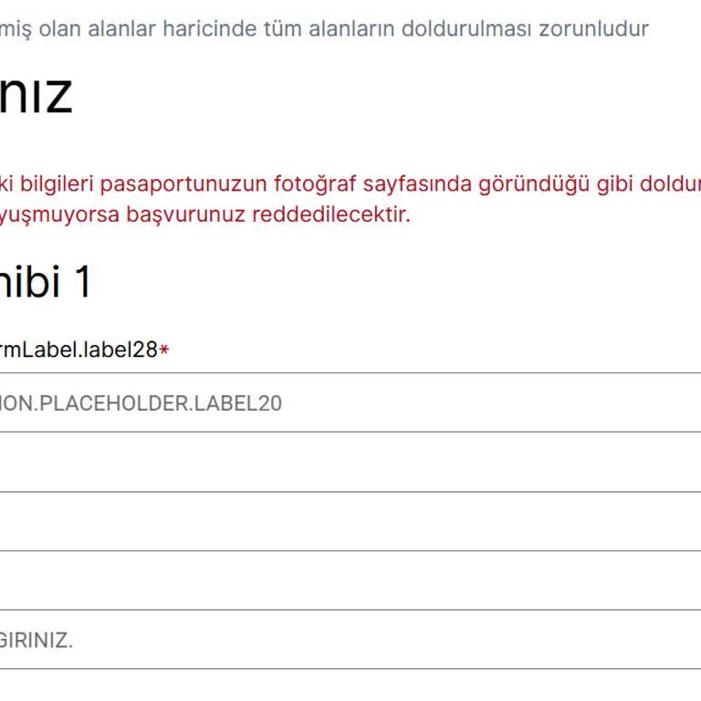 VFS Global Randevu Sistemi Sürekli Hata Veriyor, İşlem Yapamıyorum