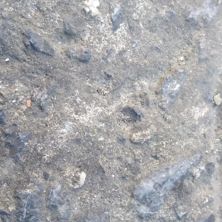 Caddede Hızlı Araçlar Ve Güvenlik Sorunu: Belediye Önlem Almıyor