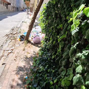 İnşaat Sonrası Bahçe Ve Kaldırımda Düzenleme Yapılmadı, Çöp Sorunu Yaşanıyor