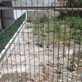 İnşaat Sonrası Bahçe Ve Kaldırımda Düzenleme Yapılmadı, Çöp Sorunu Yaşanıyor