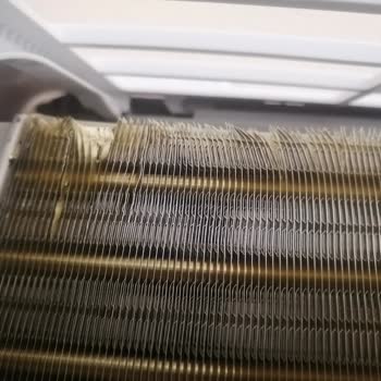 Defolu Klima Ve İlgisiz Baymak Yetkilileri: Hayal Kırıklığı!