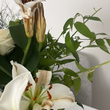 Çiçek Sepetinden Eksik Ve Bayat Çiçek Teslimatı Mağduriyeti