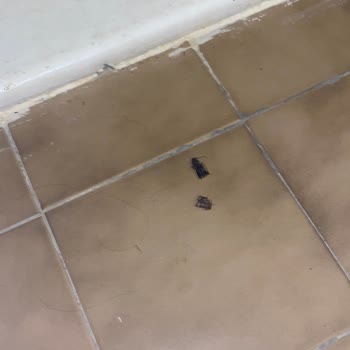 Otelin Temizlik Ve Müşteri Hizmetleri Hayal Kırıklığı Yarattı