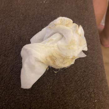 Otelin Temizlik Ve Müşteri Hizmetleri Hayal Kırıklığı Yarattı