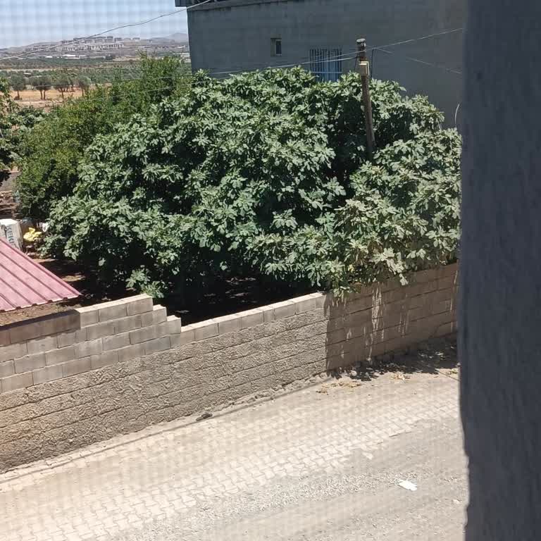 Evime Altyapı Getirilmediği İçin İnternet Bağlatamıyorum