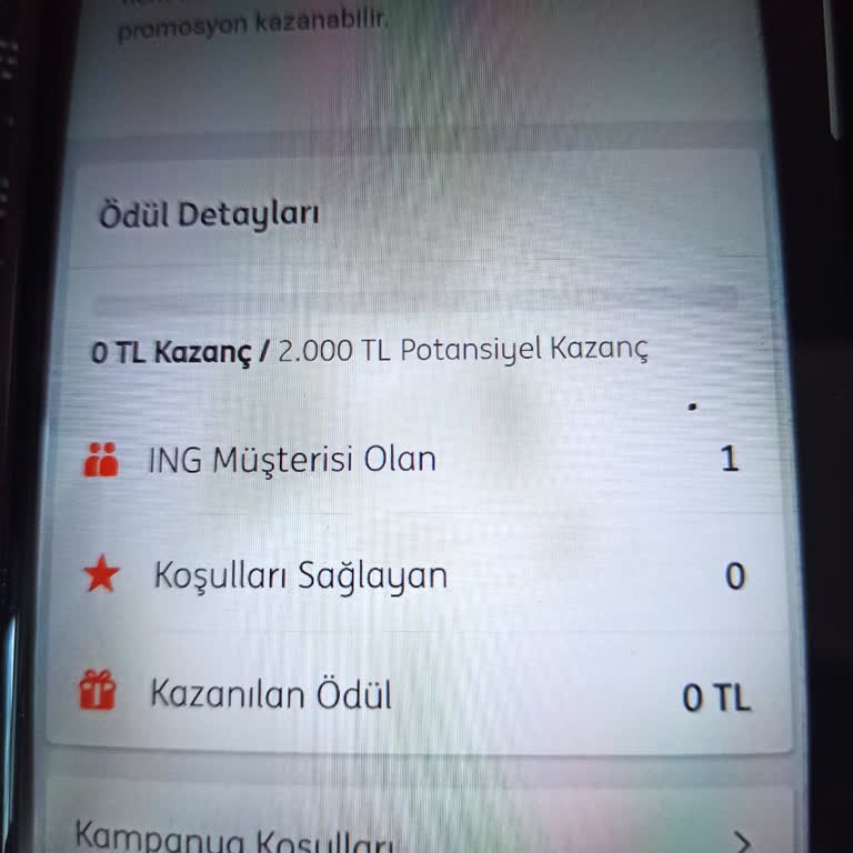 İng Bank Promosyon Ödemesi Yapılmadı