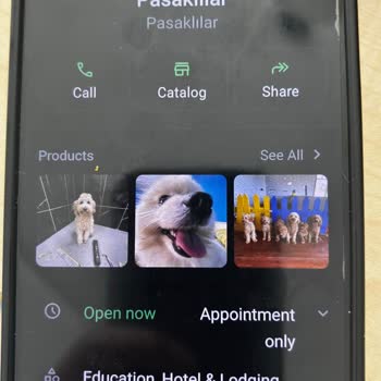 Pawradise Inn Dog Country Aldıkları Parayı Hak Etmiyor