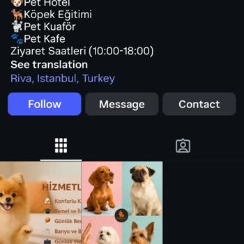 Pawradise Inn Dog Country Aldıkları Parayı Hak Etmiyor