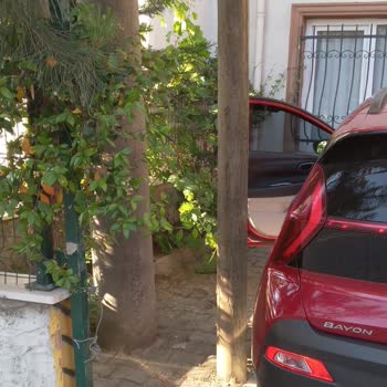Telefon Direği Nedeniyle Otopark Kullanımında Mağduriyet Yaşıyorum