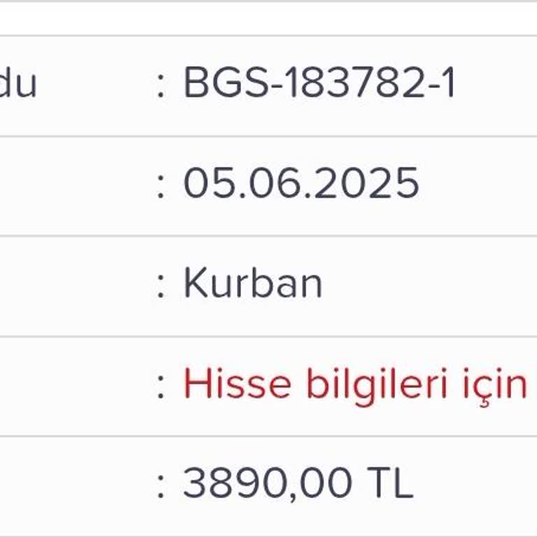 Kurban Bağışı Sonrası Kesim Videosu Hâlâ Gönderilmedi, Olumsuz Yorumlar Siliniyor