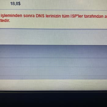 Natro Hosting'de Destek Eksikliği Ve Yüksek Doğrulama Ücreti Mağduriyeti
