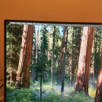 Kusurlu Monitörler Ve Yetersiz Müşteri Hizmeti Nedeniyle Mağduriyet