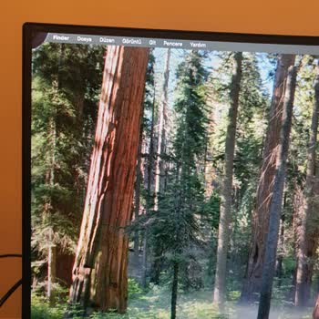 Kusurlu Monitörler Ve Yetersiz Müşteri Hizmeti Nedeniyle Mağduriyet