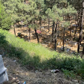 Bebek Mezarlığında Toprak Kayması Tehlikesi Ve Bakımsızlık Endişesi