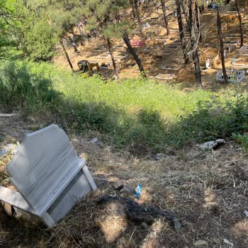 Bebek Mezarlığında Toprak Kayması Tehlikesi Ve Bakımsızlık Endişesi
