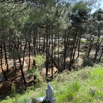 Bebek Mezarlığında Toprak Kayması Tehlikesi Ve Bakımsızlık Endişesi