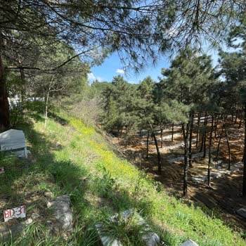 Bebek Mezarlığında Toprak Kayması Tehlikesi Ve Bakımsızlık Endişesi