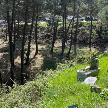 Bebek Mezarlığında Toprak Kayması Tehlikesi Ve Bakımsızlık Endişesi