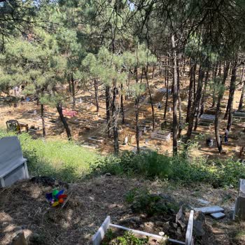 Bebek Mezarlığında Toprak Kayması Tehlikesi Ve Bakımsızlık Endişesi