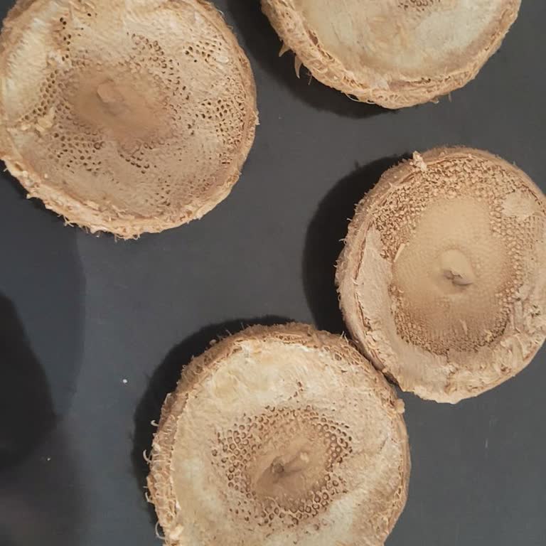 Çürük Enginar, İade Yok, Trendyol İlgisiz Kaldı