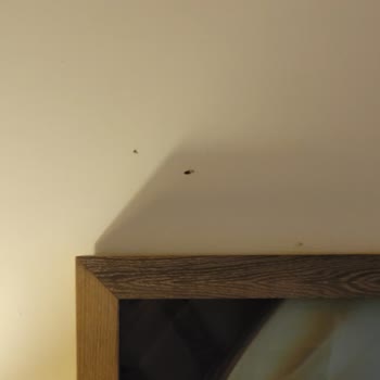 Beklentilerin Çok Altında Bir Tatil Deneyimi