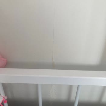 Axa Sigorta Banyodaki Su Sızıntısı Sorunumu Çözmedi, Dosyamı Sebepsiz Kapattı