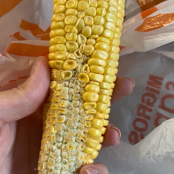 Siparişlerimde Sürekli Eksik Ve Karışık Ürün Sorunu Yaşıyorum