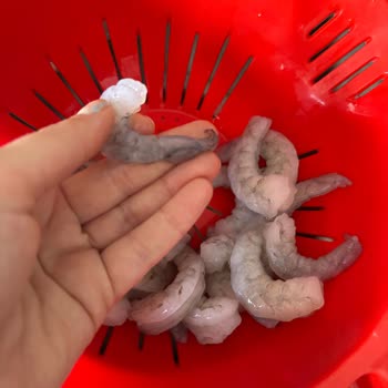 Dardanel Karideslerde Temizlik Ve Ambalaj Sorunu