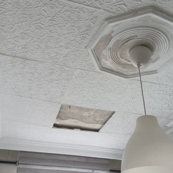 Sigorta Alt Kat Hasarını Karşılamıyor, Mağduriyetim Giderilmiyor