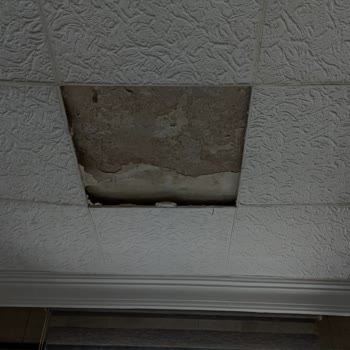 Sigorta Alt Kat Hasarını Karşılamıyor, Mağduriyetim Giderilmiyor