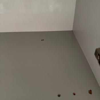 Mutfak Montajında Eksik Ve Hatalı Parçalar Mağduriyet Yaşattı Telafi Yapılmadı