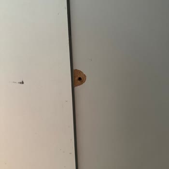 Mutfak Montajında Eksik Ve Hatalı Parçalar Mağduriyet Yaşattı Telafi Yapılmadı