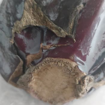 Bozuk Ürünler Ve İlgisiz Müşteri Hizmeti Mağduriyeti