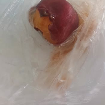 Bozuk Ürünler Ve İlgisiz Müşteri Hizmeti Mağduriyeti