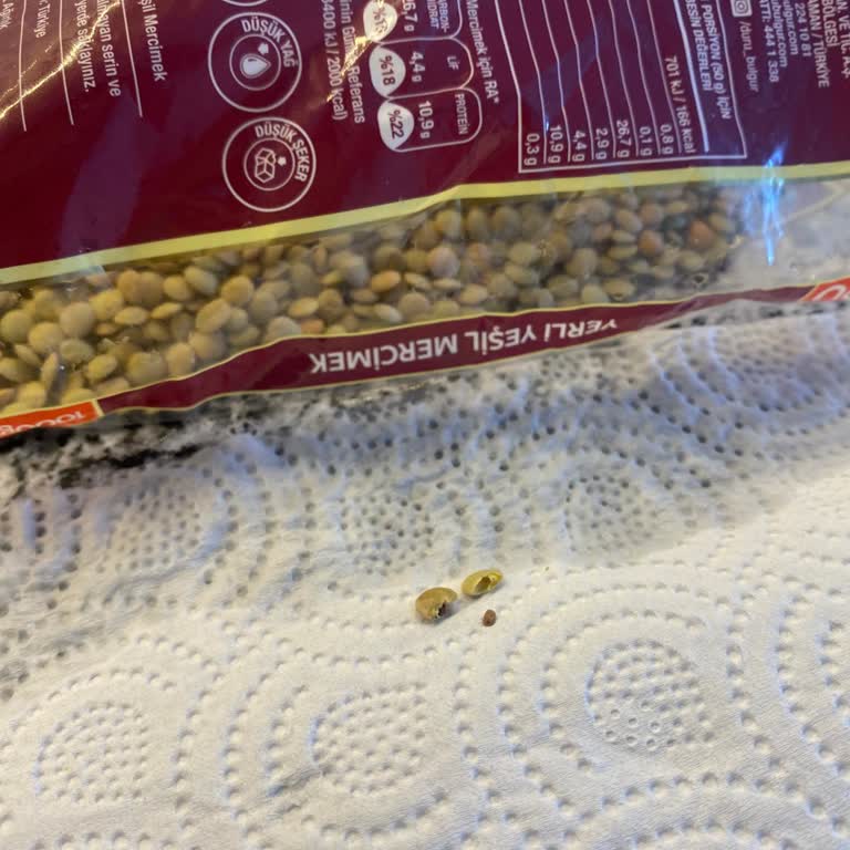 Duru Yeşil Mercimekte Böcek Şoku: Kalite Düşüşü Ve Boykot Kararı