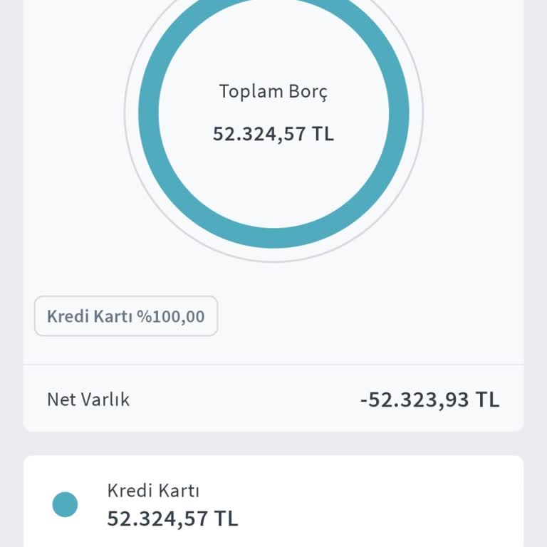 Kredi Borcu Ödemem Sistemde Görünmüyor, Borcum Düşmüyor