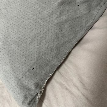 Booking.com Konaklama Yerinde Böcek İstilası Ve İlgisiz Müşteri Hizmetleri Mağduriyeti