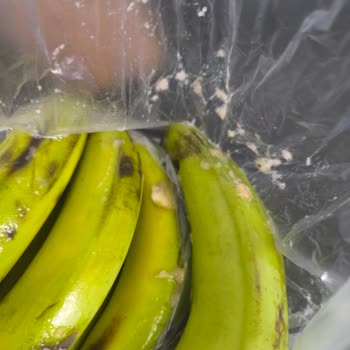 Migros Sanal Marketten Gönderilen Çürük Muzlar Ve İade Sorunu